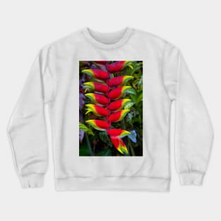 Heliconia Crewneck Sweatshirt